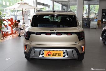 2024款smart精灵5号 后驱